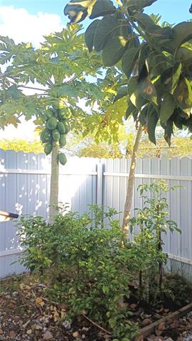 3111 6th ST LEHIGH ACRES, FL 33976 ,Listing ID