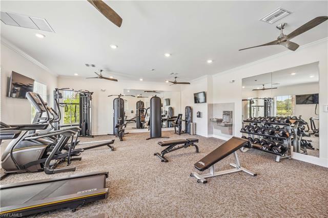 Workout area with ceiling fan, carpet flooring, plenty of natural light, and ornamental molding