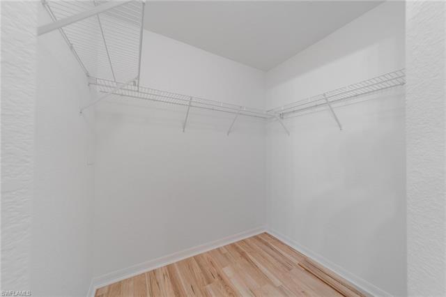 Spacious closet featuring light wood-style floors